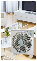 Plastic Fan